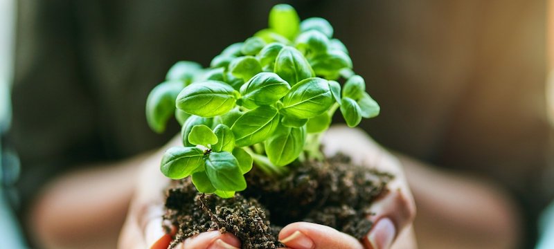 sustainable3