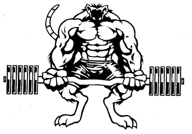 gyms