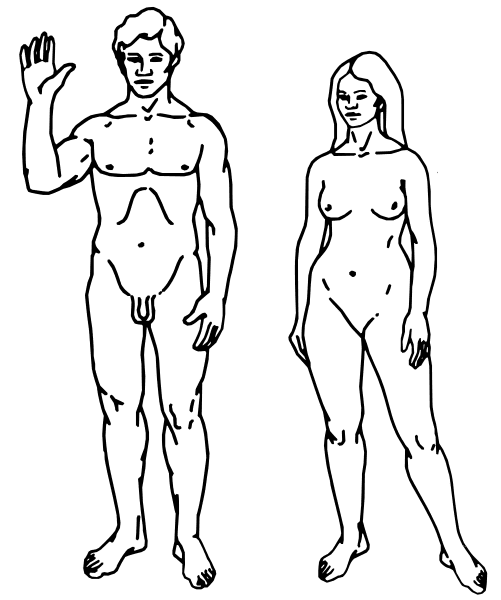 human.svg