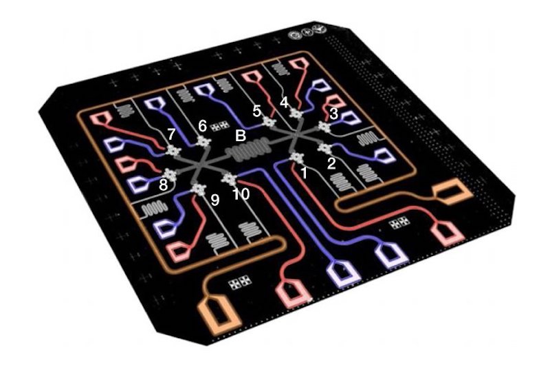  False-color circuit image showing 10 superconducting qubits (star shapes) interconnected by a central bus resonator B (gray). Credit: Song et al. ©2017 American Physical Society