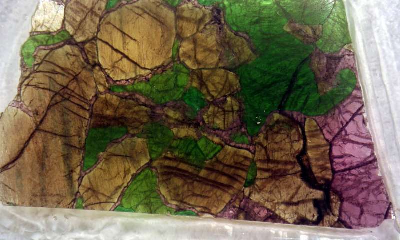 The photo depicts a sample of mantle xenolith, rock sections of the lithosphere that get captured by the passing magma and erupted to the surface during the volcanic explosion. Credit: Michael W. Broadley.