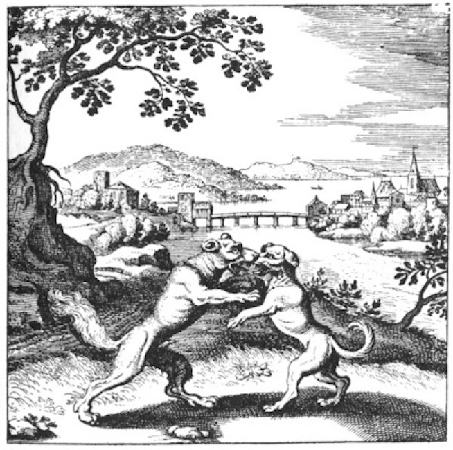 The dog and the wolf, from the Book of Lambspring