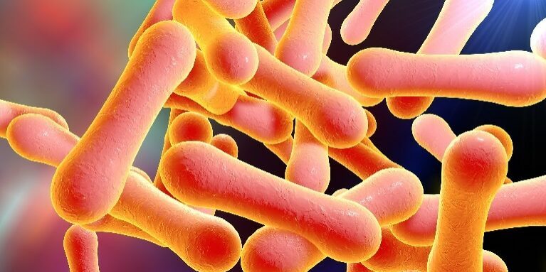 Source: National Foundation For Infectious Diseases