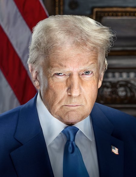 Donald Trump. By Daniel Torok - Official 2025 portrait., Public Domain. What is remarkable here is that Trump's facial expression is taken from his mugshot from Georgia. The direction of the light cast on the subject adds drama to the photo.