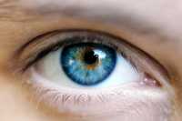 Eye